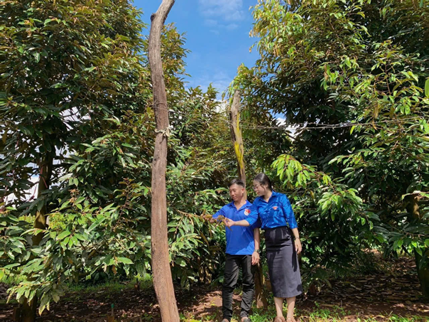 cà phê - sầu riêng